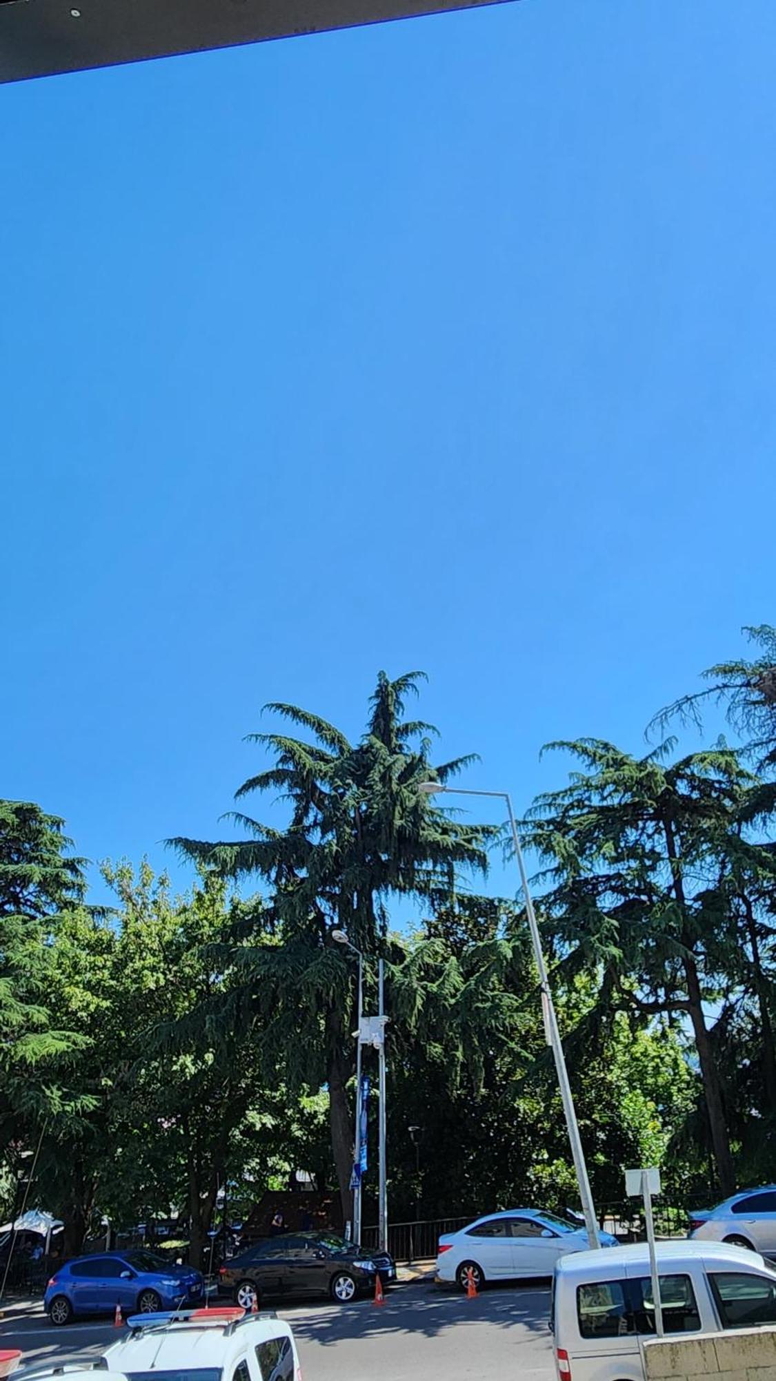 Esa Apart Hotel Trabzon Kültér fotó